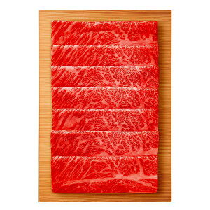 {Ɓ@̑勴@ߍ]@[X@Ăpi480gj