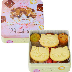 ˂̂˂˃Nb ˂̂˂˃NbL[