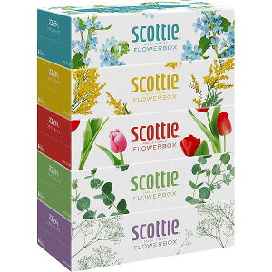 XRbeB@eBV[@t[{bNX@250gi5pbNj