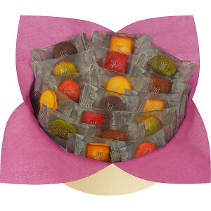 �A�����E�V�����p���e�B�G�@�v�e�B�E�K�g�[�E�A�\���e�B�i36�j