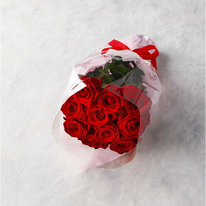 ỏԑ@21{100{܂ł̂\