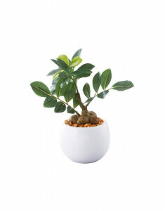 ●SC触媒加工 ミニ観葉 ガジュマル(フェイクグリーン)