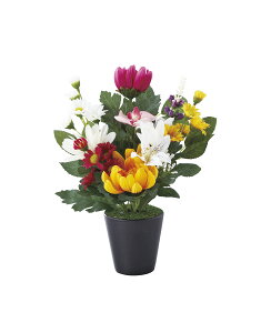 SCG}H ԁmniA[eBtBVt[j