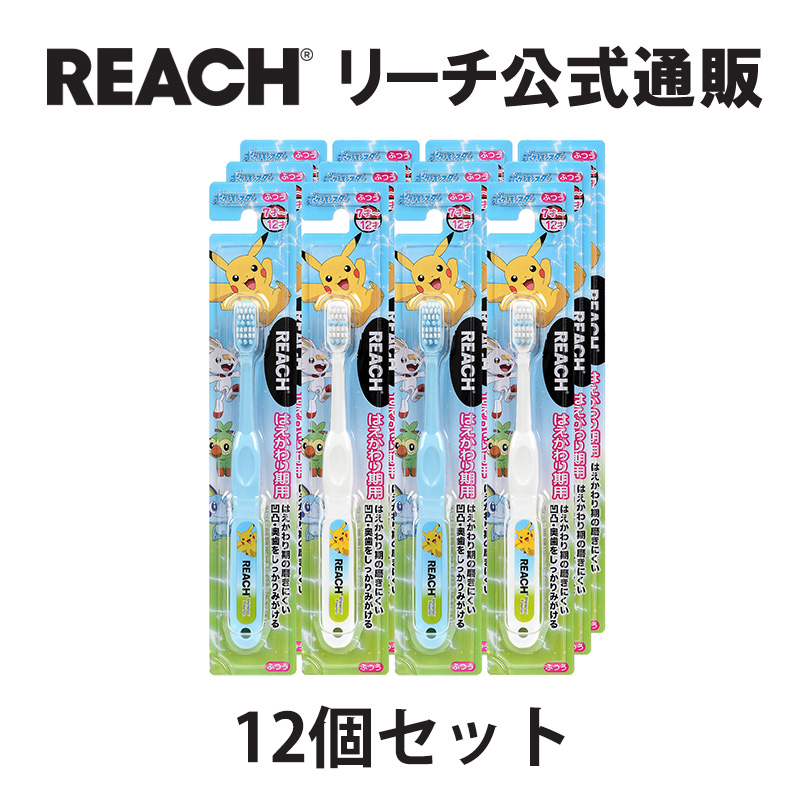 【REACH 公式ショップ】リーチ キッズ歯ブラシ ポケモン 7－12才用 はえかわり期用 12本 ふつう 子供用 ハミガキ ハブラシ |  REACH（リーチ）公式通販ショップ