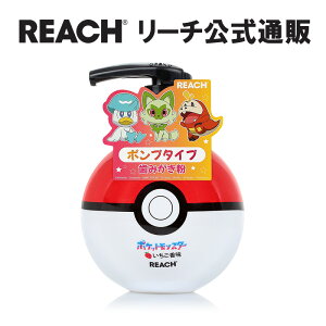 yREACH Vbvz[` LbY|v݂  qp  |P |v^Cv