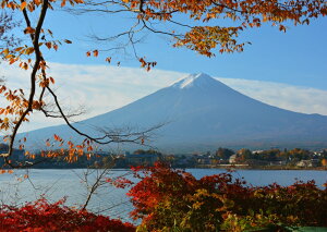 G敗 ǎ|X^[ (͂V[) Hxm xmRƍgt R ӂ LN FJS-009A1 (A1 830mm×585mm) { EH[XebJ[ C|X^[