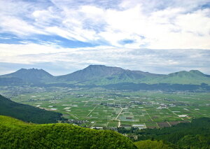 G敗 ǎ|X^[ (͂V[) hR O֎R Jf {SR EWIp[N LN ASS-001A2 (A2 594mm×420mm) { EH[XebJ[ C|X^[