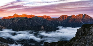 G敗 ǎ|X^[ (͂V[) {AvX 򕌑]ރA[x[gɐ܂鑄E䍂A x 䍂A kAvX ˎR iX|bg LN M-NALP-006S1(pm