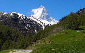 �G�敗 �ǎ��|�X�^�[ (�͂�����V�[����) �}�b�^�[�z���� �c�F���}�b�g�o���[ �A���v�X�R�� �L�����N�� MTH-007W2 (���C�h�� 603mm×376mm) �����{���� �E�H�[���X�e�b�J�[ �����C�|�X�^�[