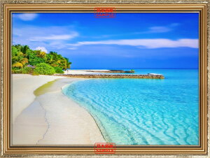 G敗 ǎ|X^[ (͂V[) p_CX TfB r[` yi }[VA y yz^gbNA[gz LN BCH-010SGC2 (594mm×447mm) { EH[Xeb