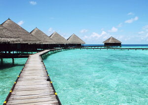 G敗 ǎ|X^[ (͂V[) r[` |X^[ C l V fBu LN BCH-003A2 (A2 594mm×420mm) { EH[XebJ[ C|X^[