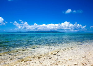 G敗 ǎ|X^[ (͂V[) 썑̃r[`ƓʂC   iF i |X^[ C LN BCH-024A2 (A2 594mm×420mm) { EH[XebJ[ C|X^[