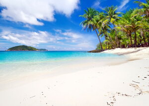 G敗 ǎ|X^[ (͂V[) r[` v[Pbg V̖ |X^[ C l y p_CX LN BCH-026A2 (A2 594mm×420mm) { EH[XebJ[ C|X^[