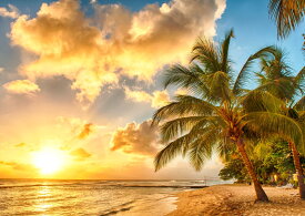 絵画風 壁紙ポスター (はがせるシール式) 夕焼けのビーチ 夕陽とヤシの木 カリブ海 楽園 キャラクロ BCH-027A2 (A2版 594mm×420mm) ＜日本製＞ ウォールステッカー 浴室 壁紙 お風呂ポスター
