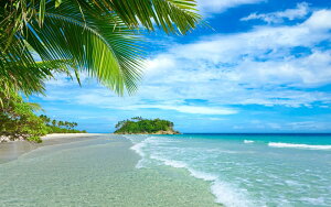 �G�敗 �ǎ��|�X�^�[ (�͂�����V�[����) �r�[�` �Z�[�V�F�� ���A�t���J �C���h�m �g���s�J���y�� �L�����N�� BCH-037W2 (���C�h�� 603mm×376mm) �����{���� �E�H�[���X�e�b�J�[ �����C�|�X�^�[