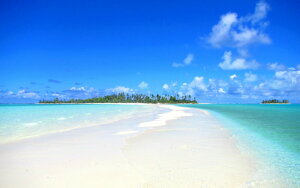 �G�敗 �ǎ��|�X�^�[ (�͂�����V�[����) �K������ �����O�r�[�` �p���I �J�����Q�� �~�N���l�V�A �|�X�^�[ �C �L�����N�� BCH-062W2 (���C�h�� 603mm×376mm) �����{���� �E�H�[���X�e�b�J�[ ����