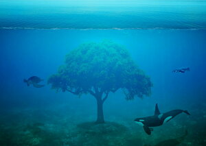 G敗 ǎ|X^[ (͂V[) C̖ IJ E~K yM _CrO C LN DVG-018A1 (A1 830mm×585mm) { EH[XebJ[ C|X^[