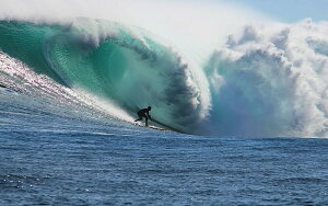 �G�敗 �ǎ��|�X�^�[ (�͂�����V�[����) �T�[�t�B�� �T�[�t�@�[ �r�b�O�E�F�[�u �g �I�[�V���� �C �L�����N�� SFN-037W2 (���C�h�� 603mm×376mm) �����{���� �E�H�[���X�e�b�J�[ �����C�|�X�^�[