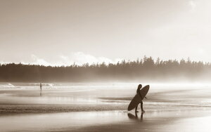 G敗 ǎ|X^[ (͂V[) zIȖ閾̏ƃT[t@[K[ u }`bN T[tB g C ZsA LN SFN-043WS2 (Ch 603mm×376mm) { EH[