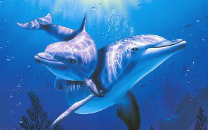 G敗 ǎ|X^[ (͂V[) CJ̐eq  X}C c[Vbg htB C A[g LN DLP-016W2 (Ch 603mm×376mm) { EH[XebJ[ C|