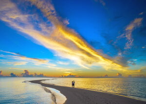 G敗 ǎ|X^[ (͂V[) g }`bNȔgłۂƌzIȗ[Ă_ C̓ C LN SWAV-020A2 (A2 594mm×420mm) { EH[XebJ[ C|X^[