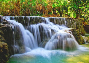 G敗 ǎ|X^[ (͂V[) IX  X   tbV LN WTF-017A2 (A2 594mm×420mm) { EH[XebJ[ C|X^[