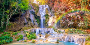 G敗 ǎ|X^[ (͂V[) JtؗȂNAV[̑ IX Avo[s R gt pm} LN WTF-027S1 (1152mm×576mm) { EH[Xeb