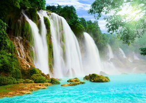 G敗 ǎ|X^[ (͂V[)  厩R̃V[ƃGȟk N₩ u  LN WTF-033A2 (A2 594mm×420mm) { EH[XebJ[ C|X^[