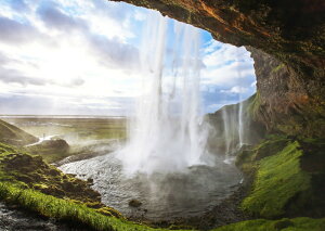 G敗 ǎ|X^[ (͂V[) ZgXtHX̑ ACXh  _I p[X|bg LN WTF-034A2 (A2 594mm×420mm) { EH[XebJ[ C|