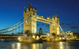 G敗 ǎ|X^[ (͂V[) ^[ubW̖i h eY COh CMX UK LN LND-010W1 (Ch 921mm×576mm) { EH[XebJ[ C