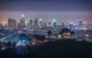 G敗 ǎ|X^[ (͂V[) OtBXp[NƃT[X̖i V LA JtHjAB LN LOS-008W2 (Ch 603mm×376mm) { EH[XebJ[ C