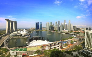 G敗 ǎ|X^[ (͂V[) VK|[ ssi }[iExC LN SGP-016W2 (Ch 603mm×376mm) { EH[XebJ[ C|X^[