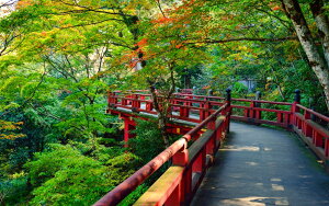 G敗 ǎ|X^[ (͂V[) X { {뉀 Xї  ڂۗ̕{  F LN SNR-019W1 (Ch 921mm×576mm) { EH[XebJ[ C|X^[