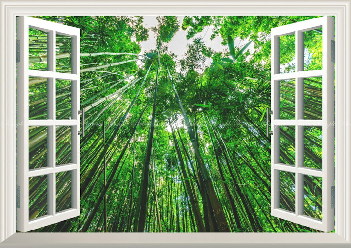 楽天市場 絵画風 壁紙ポスター はがせるシール式 窓の景色 竹藪 森林浴 緑 目の保養 気分転換 癒し リラックス 窓仕様 トリックアート キャラクロ Snr 006ma2 版 594mm 4mm 建築用壁紙 耐候性塗料 インテリア レアルインターショップ