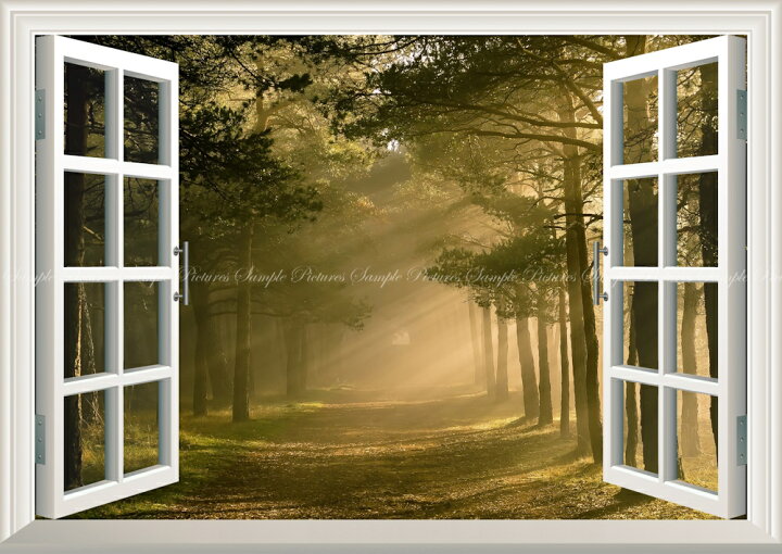 楽天市場 絵画風 壁紙ポスター はがせるシール式 窓の景色 並木道 森林浴 陽射し 光のシャワー 林 森 緑 目の保養 癒し リラックス 窓仕様 トリックアート キャラクロ Snr 015ma1 A1版 0mm 585mm 建築用壁紙 耐候性塗料 インテリア レアルインター 楽天市場 絵画風 壁紙ポスター はがせるシール式 窓の景色 並木道 森林浴 陽射し 光のシャワー 林 森 緑 目の保養 癒し リラックス 窓仕様 トリックアート キャラクロ Snr 015ma1 A1版 0mm 585mm 建築用壁紙 耐候性塗料 インテリア レアルインター