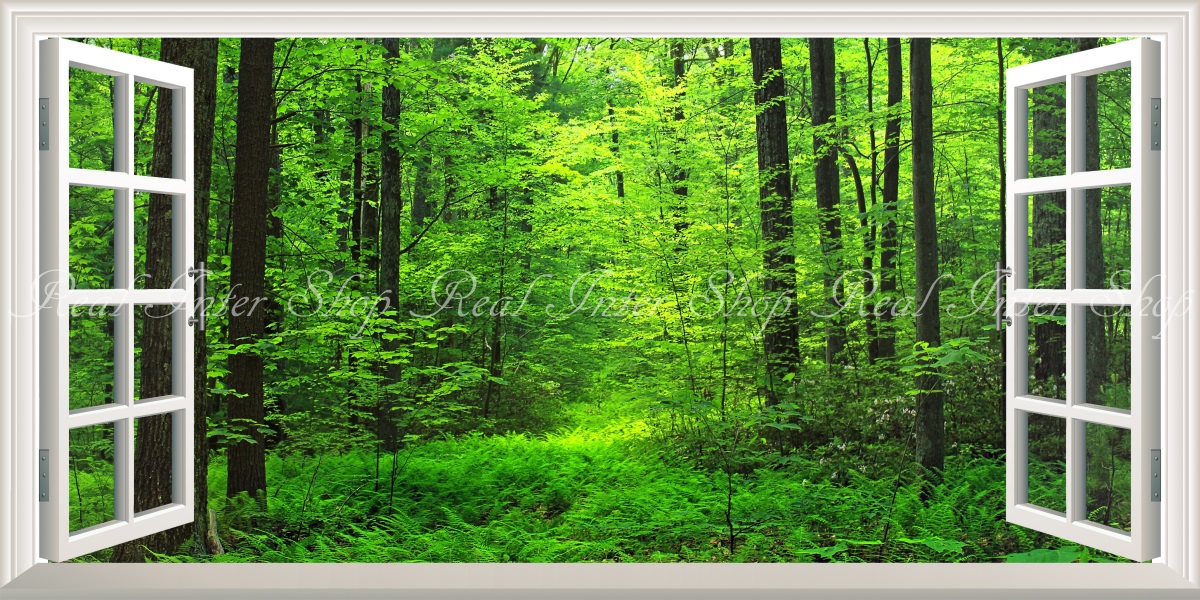 絵画風 壁紙ポスター （はがせるシール式） 新緑と紅葉の森林浴 森 森林 陽射し 日光浴 パノラマ 目の保養 癒し キャラクロ SNR-10