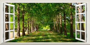 G敗 ǎ|X^[ (͂V[) -̌iF- ؓ X Xї  ڂۗ̕{ C]  pm} ydl^gbNA[gz LN SNR-114MS1 (1152mm×576mm) { EH[