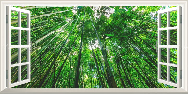 楽天市場 絵画風 壁紙ポスター はがせるシール式 窓の景色 竹藪 森林浴 緑 目の保養 気分転換 癒し リラックス パノラマ 窓仕様 トリックアート キャラクロ Snr 115ms1 1152mm 576mm 建築用壁紙 耐候性塗料 インテリア レアルインターショップ