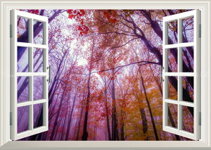 G敗 ǎ|X^[ (͂V[) -̌iF- gt  X  ԉF sN  F ydl^gbNA[gz LN KYO-010MA1 (A1 830mm×585mm) { EH[Xeb