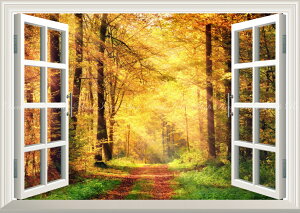 G敗 ǎ|X^[ (͂V[) -̌iF- Ήg̐XтƗz˂̃V[ gt Xї X̏ ݂ t  ydl^gbNA[gz LN KYO-020MA1 (A1 830mm×585m