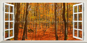 G敗 ǎ|X^[ (͂V[) -̌iF- gt X  HiF  FN₩ pm} ydl^gbNA[gz LN KYO-104MS1 (1152mm×576mm) { EH[Xeb