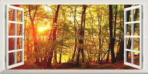 G敗 ǎ|X^[ (͂V[) -̌iF- Ήg̐Xї gtƏH̗z˂ t ݂ H̏ pm} ydl^gbNA[gz LN KYO-105MS1 (1152mm×576mm) {