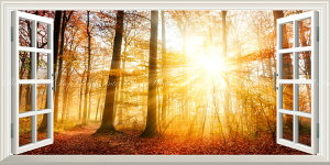 G敗 ǎ|X^[ (͂V[) -̌iF- gt̗z˂ H̓ Xї ݂ t pm} ydl^gbNA[gz LN KYO-106MS1 (1152mm×576mm) { EH[