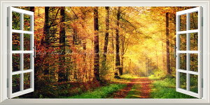 G敗 ǎ|X^[ (͂V[) -̌iF- gt̗z˂ H̓ Xї ݂ t pm} ydl^gbNA[gz LN KYO-110MS1 (1152mm×576mm) { EH[