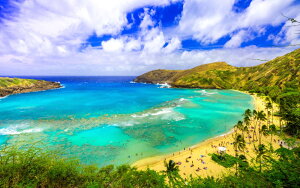 G敗 ǎ|X^[ (͂V[) Gh̃niE}ExCƏẲ_ nC IAt r[` ][g C LN HWI-040W2 (Ch 603mm×376mm) { EH[XebJ