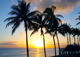 絵画風 壁紙ポスター (はがせるシール式) ワイキキビーチの日の出 ハワイ の朝陽 ヤシの木 キャラクロ HWI-004A1 (A1版 830mm×585mm) ＜日本製＞ ウォールステッカー お風呂ポスター