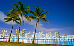 G敗 ǎ|X^[ (͂V[) nC zm r[`p[N i IAt LN HWI-011W1 (Ch 921mm×576mm) { EH[XebJ[ C|X^[