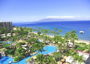 G敗 ǎ|X^[ (͂V[) nC }EC p_CX ][g r[` v[ LN HWI-022A2 (A2 594mm×420mm) { EH[XebJ[ C|X^[