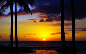 G敗 ǎ|X^[ (͂V[) nC }EC̓̏o TCY 閾 Ă V̖ LN HWI-039W1 (Ch 921mm×576mm) { EH[XebJ[ C|X^