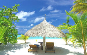 G敗 ǎ|X^[ (͂V[) fBu r[`E][g |X^[ C  oP[V LN RMDV-006W2 (Ch 603mm×376mm) { EH[XebJ[ C|X